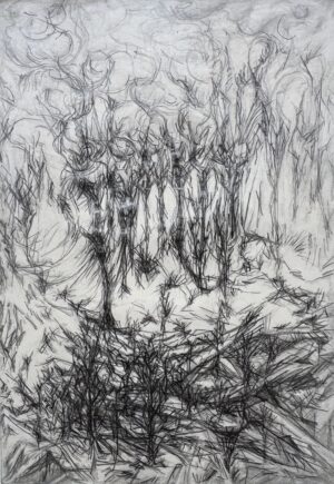 ARNAUD SAINT LOUBERT BIÉ