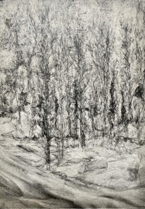 ARNAUD SAINT LOUBERT BIÉ